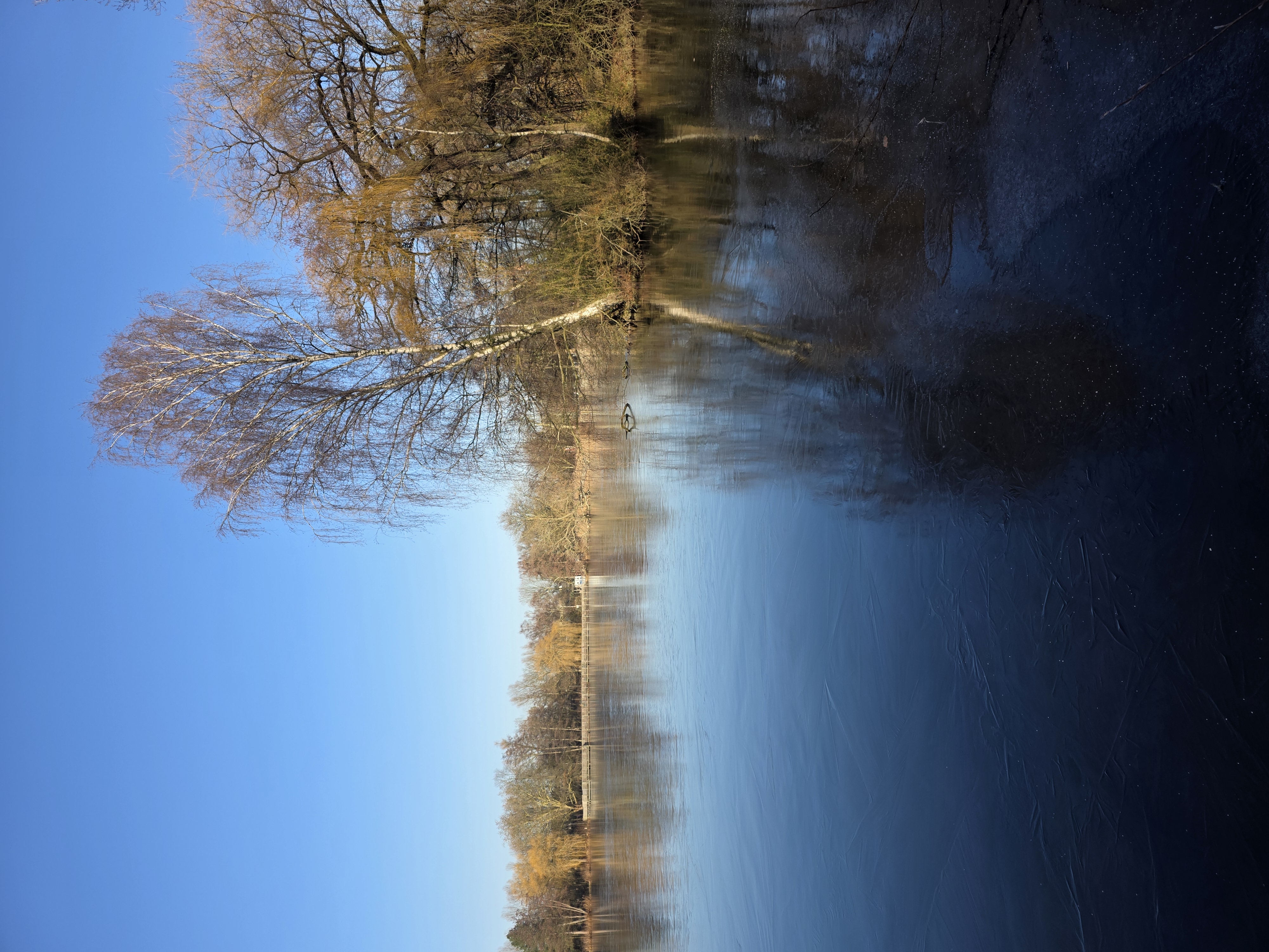 Impression vom Nordparkteich